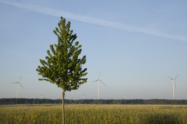 Windkraftanlagen bei Proschim